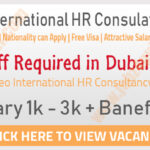Latest Jobs in Leo International HR Consultancy